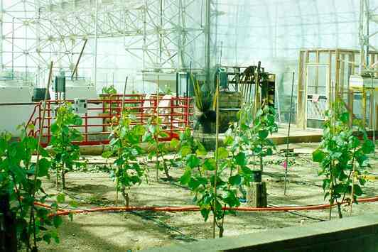 Biosphere 2 Not Such a Bust