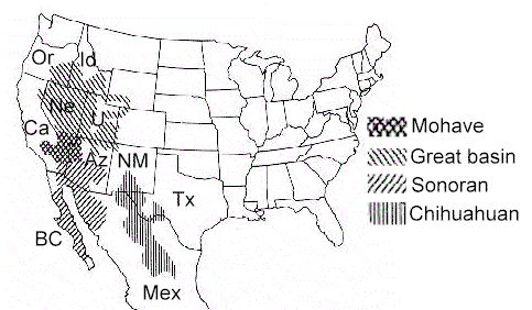 sonoran desert on world map