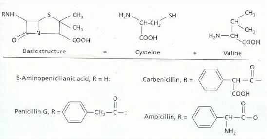 Natural penicilin store