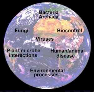 Profiles of microorganisms: the microbial world